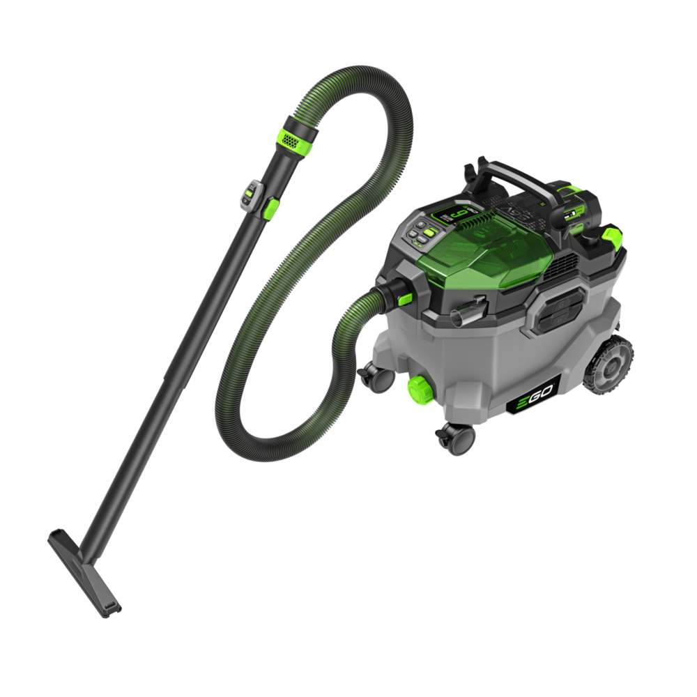 Ego Vacuum